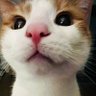 Molly's profile picture