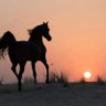 المزاج الصعب🇰🇼's profile picture