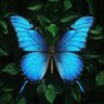 ميـــم .. 🦋🫧 profil fotoğrafı