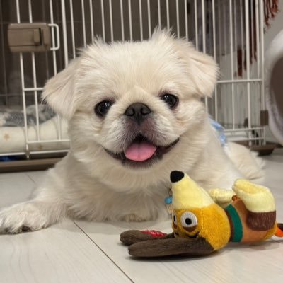 skyk_mr0512's profile picture