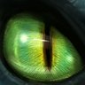 Hjorth's profile picture
