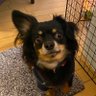 ohmichy 的头像
