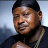 M7's profile picture