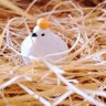 みかん鳩 的头像