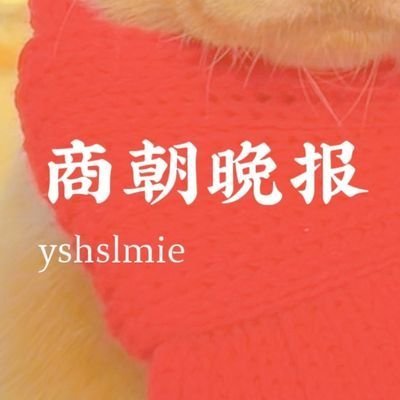 yshslmia's profile picture