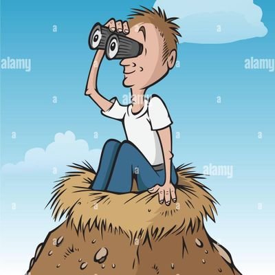The Bird Watcher's profile picture