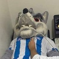 payshitpost's profile picture