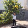 محمد mohmed alnakebe اليمن profil fotoğrafı