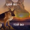 попаяна менталка 的头像