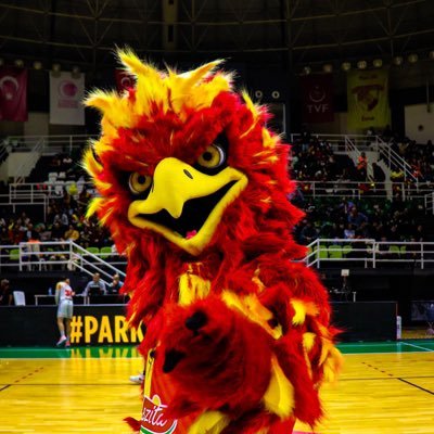 kAnka1925's profile picture