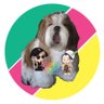 🐶🐰🧚🔮PhUnG🔮🧚🐰🐶 SMILEY's profile picture