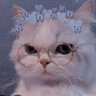 Luiza Rodrigues's profile picture