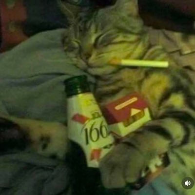 Svaana's profile picture