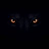 KEPA_WOLF profil fotoğrafı