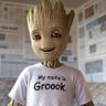 Profilbild von Groook