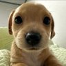 SiR ¹⁹¹²'s profile picture