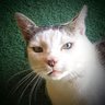 R0torko's profile picture