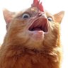 Profilbild von kfant