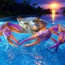 Crypto Crab 的头像