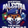 nascidos palestra 1921🇮🇹 , forjados cruzeiro🇫🇮's profile picture