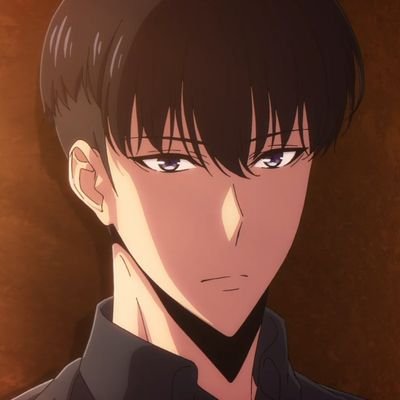 Solo Leveling Updates's profile picture