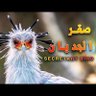 صقر_الجديان🦅 的头像
