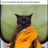 FOOLISH_JEDI's profile picture