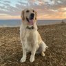 Leo's profile picture