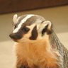 poby's profile picture