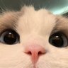 FeNiX_MoDz profil fotoğrafı