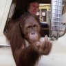 travis moore's profile picture