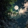 Фото профиля AhmedAbZaid