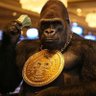 🦧 Insidious Gambling Gorilla 🦍's profile picture