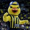 yellow🇹🇷 profil fotoğrafı