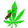 Fumeiras's profile picture