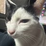 Meepmerp5's profile picture