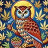 Kevin McSherm's profile picture