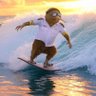 Cattom 的头像