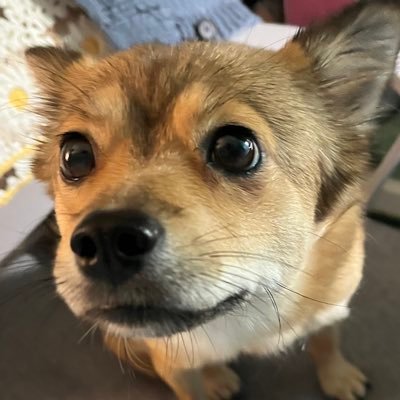 httpipiu's profile picture