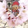 Фото профиля 八重