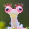 Rocket-Powered-Tardigrade⚡️↗️'s profile picture