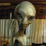 Paul McCrudden's profile picture
