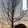 嗯呀亏欠 profil fotoğrafı