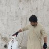 Naqib Jan 的头像