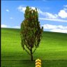 daitree 的头像