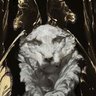 Profilbild von VeGA-