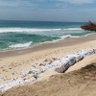 Profilbild von Ada❤️🌹