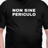 non sine periculo's profile picture