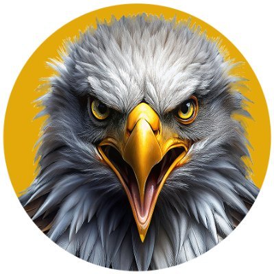 Falcon Defence's profile picture