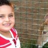 غزالة المؤمل's profile picture